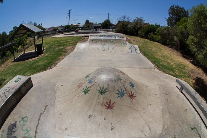 wellingtonchillbumpsm