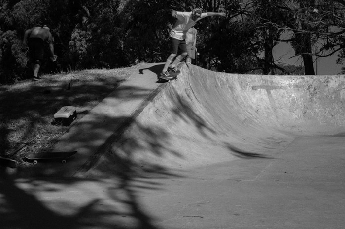 wendoureefiddynicksm